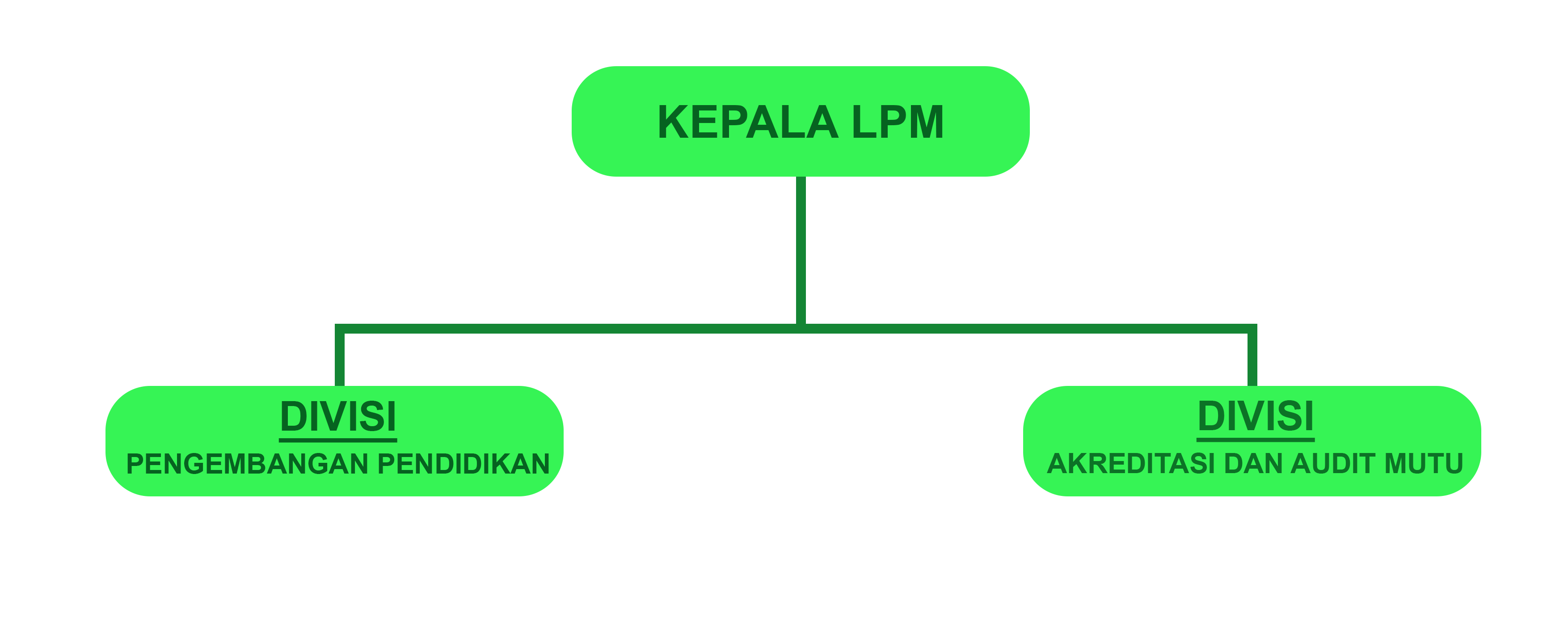 Struktur Organisasi